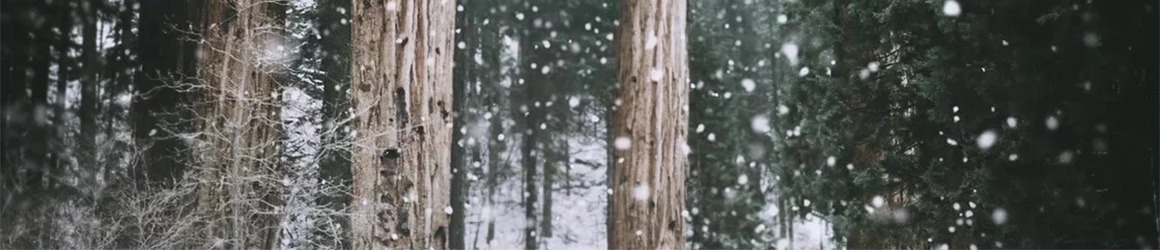 Snow Clearance